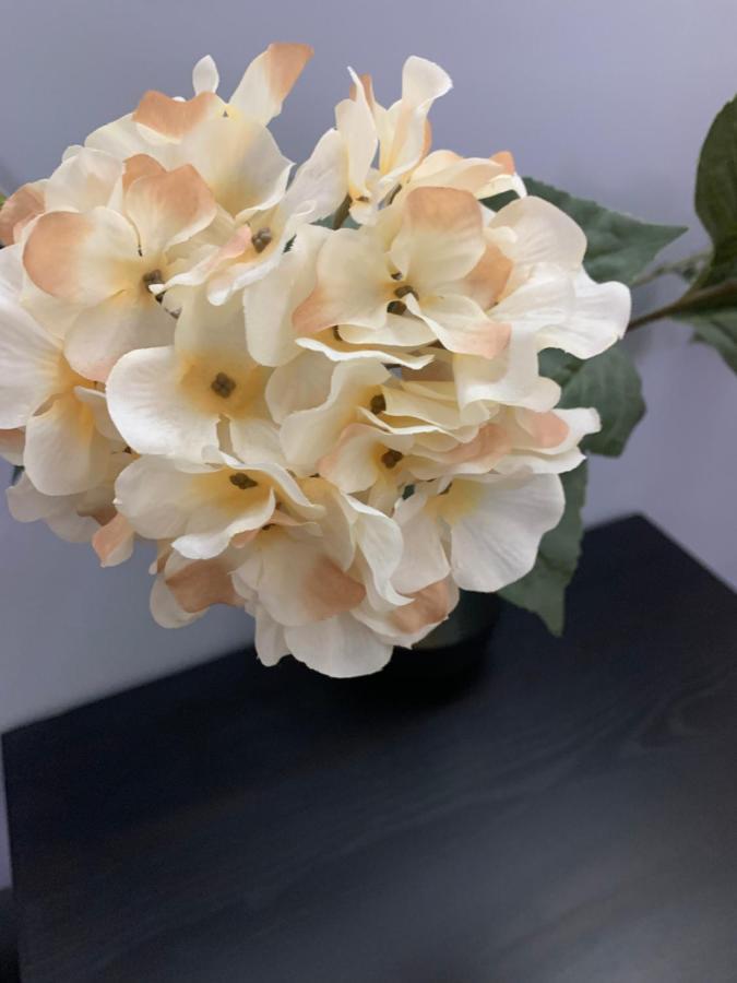 Toscana 4 德布勒森 外观 照片