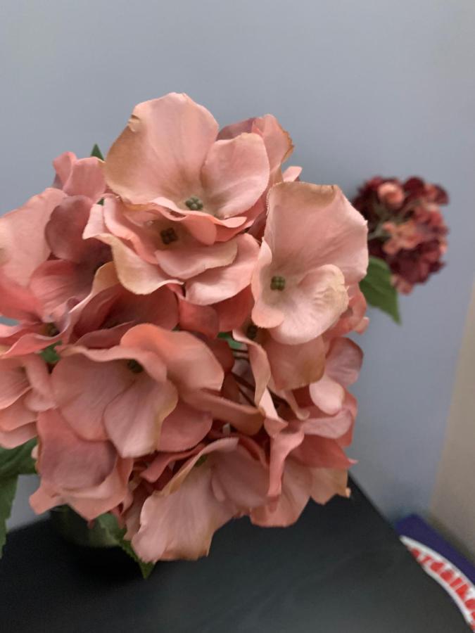 Toscana 4 德布勒森 外观 照片